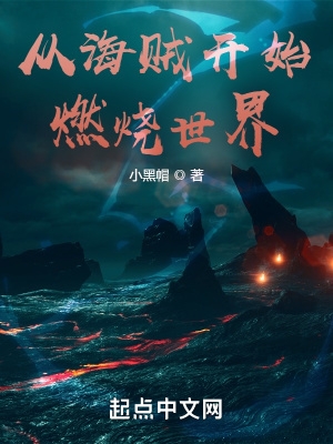 海贼王燃烧的意志