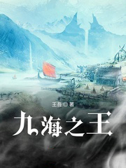 九海商贸公司