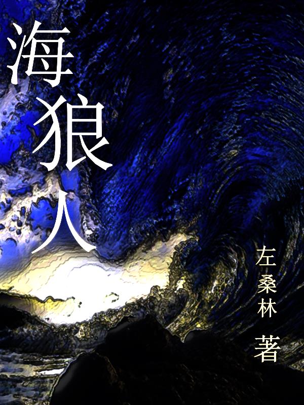 海狼电影国语