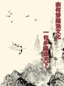 奈何自己没文化一句卧槽行天下上一句