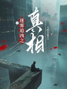 迷雾追凶 百科