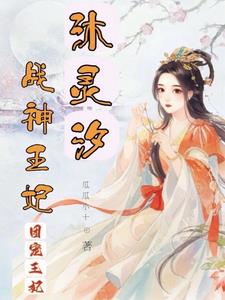 战神王妃神医毒妃